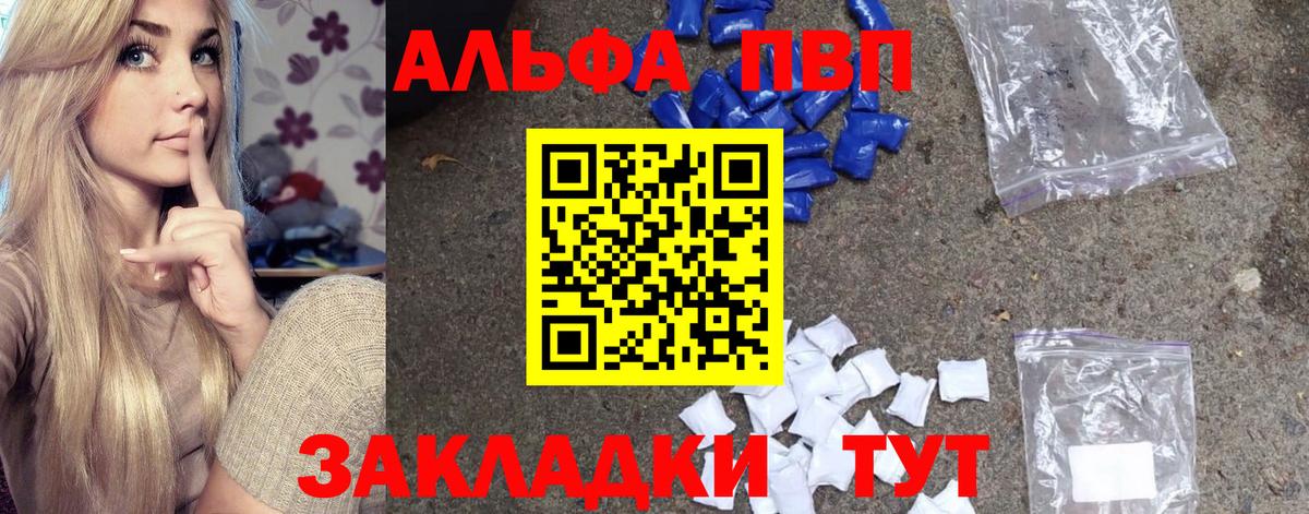 A PVP СК КРИС Дмитров