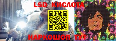 PSILOCYBIN Боровичи