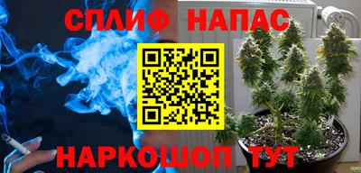 СК Братск