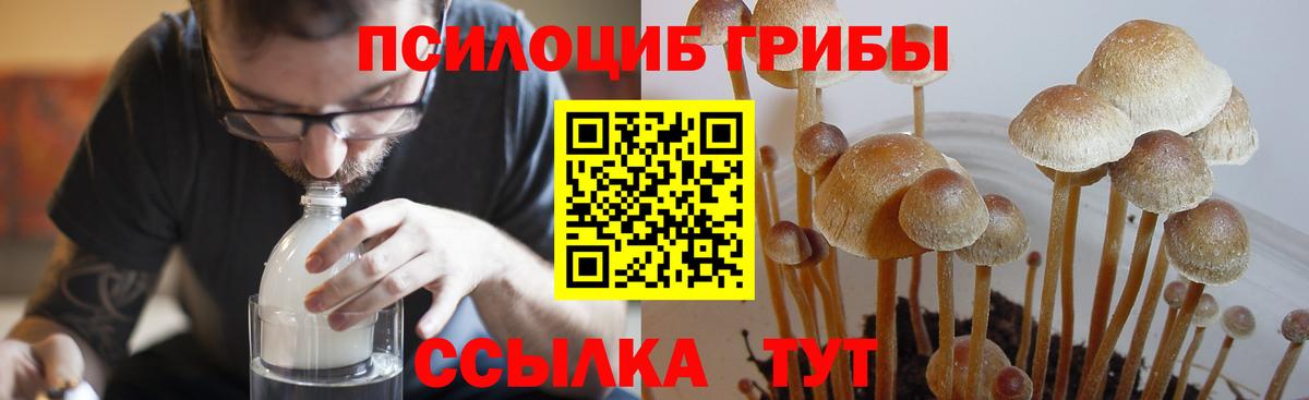 Псилоцибиновые грибы Cubensis  Галлюциногенные грибы Psilocybine cubensis  где купить наркотик  Дмитров  Вход с VPN 